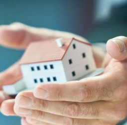 Tributo ao deputado Luiz Carlos Hauly