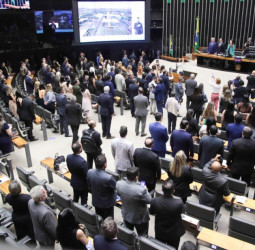 Parlamentares prestam homenagem aos micro e pequenos empresários