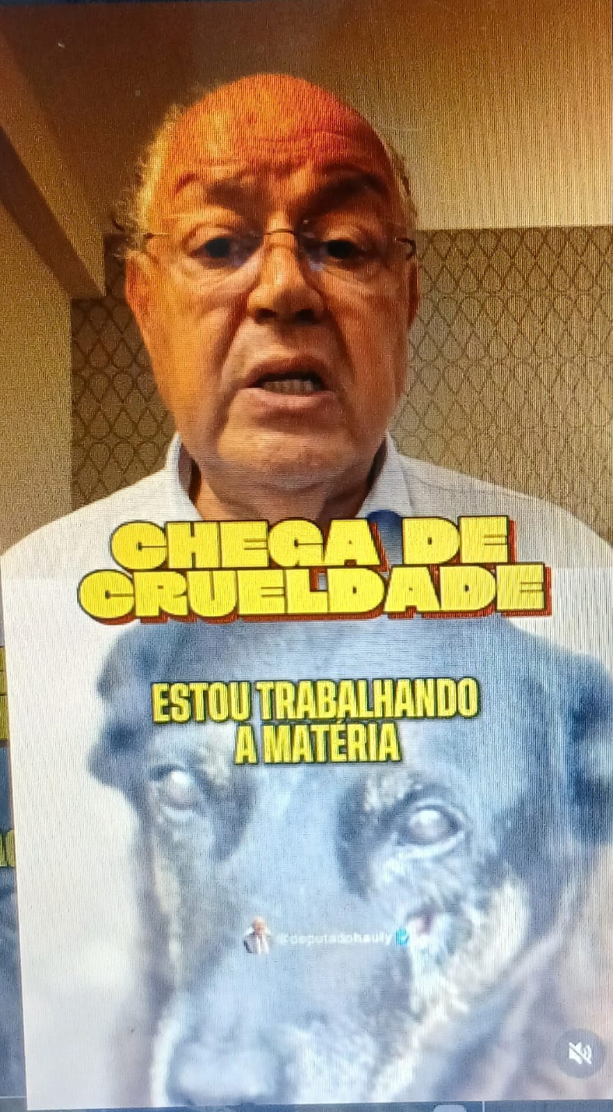 O que a agressão ao cão Orelha revela sobre nossa sociedade